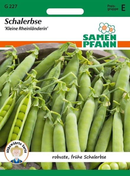Doperwt, Klein Rijnland - Groentezaden, zaden