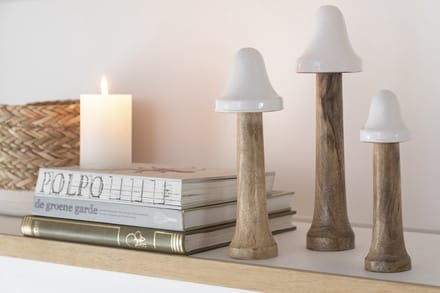 J-Line decoratie Paddenstoel Dun - hout - naturel/wit - 3 stuks
