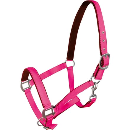 Halster voor paarden York