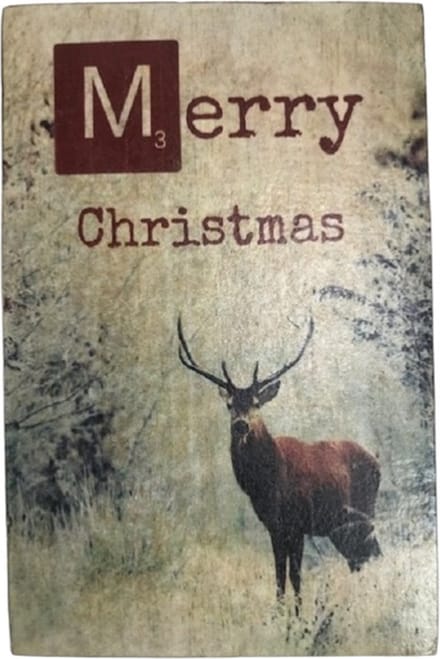 Tekstblok 10x15 2 cm Merry Christmas red no4