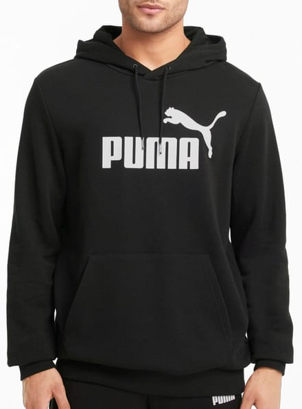 Capuchon sweaters Puma Essentials Big Logo Hoodie
