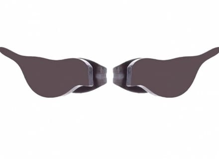 Oorbellen RVS Vogel Zwart