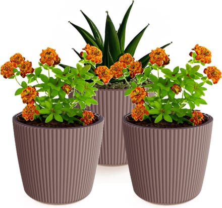 Prosperplast Plantenpot/bloempot Buckingham - 3x - buiten/binnen - terra - D17 x H15 cm