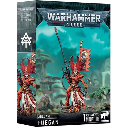 Beeldje Games Workshop Warhammer 40k - Aeldari Fuegan