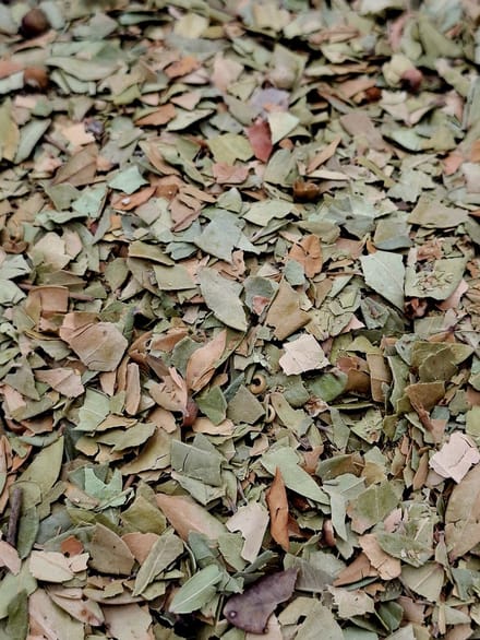 Mirte blad (Myrtus communis)100g