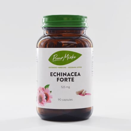 Echinacea Forte - 525mg - 90 caps