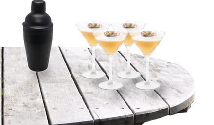 Excellent Houseware - Cocktailshaker 500 ML met 4x Martini cocktailglazen 260 ml