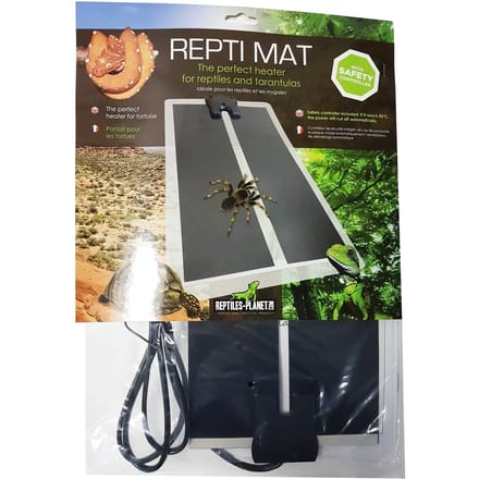 Hete plaat Reptiles Planet