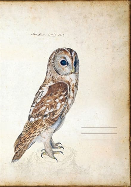 Notitieboekje Uil 15x21cm