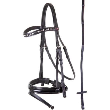 Anatomische hoofdstellen Premiere Grenoble
