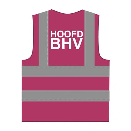 Hoofd BHV hesje RWS lichtpaars