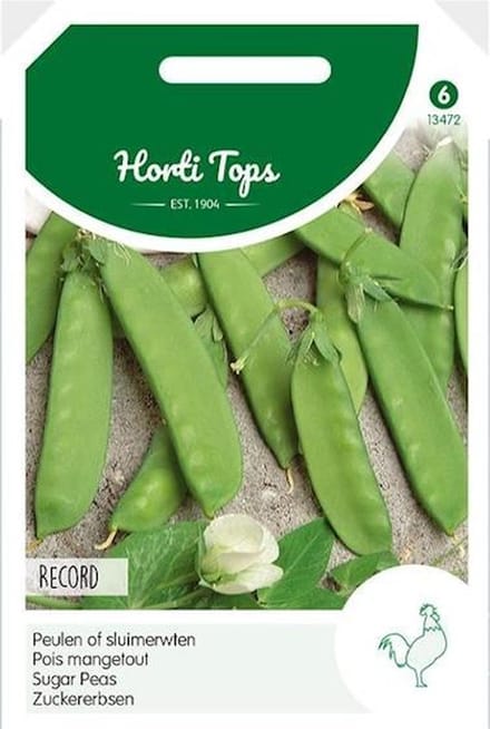 Hortitops zaden - Peulen Record - doosje 100g