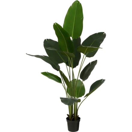 Mica Decorations Bananenboom in Pot - Kunstplant - Groen - 30x30x180 cm