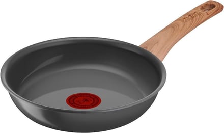 Tefal Renew Braadpan 20cm - Grijs - Aluminium - Ø20 cm