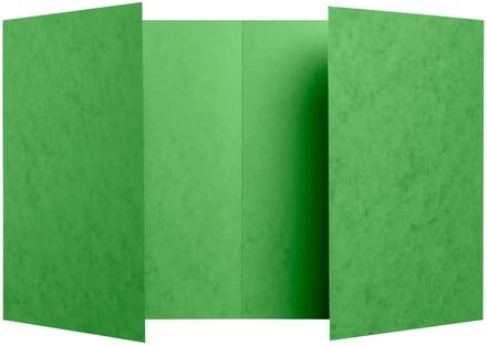 Exacompta 100x Schriftomslag in glanskarton 225g - 17x22 cm - Groen - 32123E
