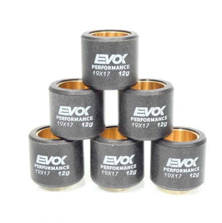 Galet rouleau de variateur EVOK pour scooter Piaggio 125 Beverly 2000 à 2017 19x17 12Grs / 100480078 Neuf