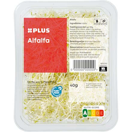 Alfalfa
