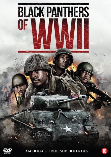Black Panthers Of WWII (DVD)