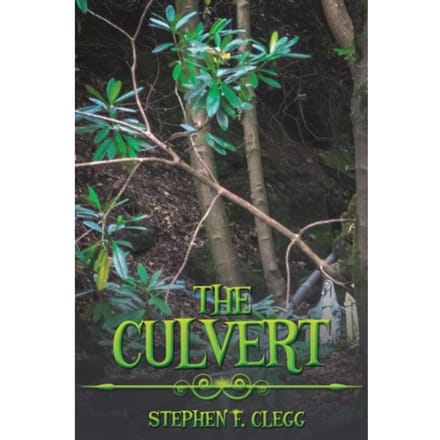 The Culvert - Stephen F. Clegg