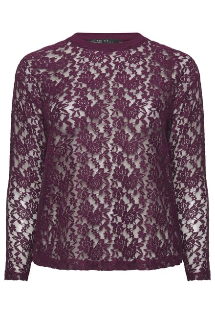 Limited Collection Paarse Mesh Top Met Kant En Lange Mouwen Size 42