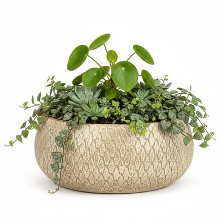Mica decorations Bloempot / schaal Madeira - creme - terracotta - 13 x 27 cm - schubbenpatroon