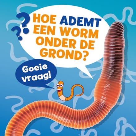 Hoe Ademt Een Worm Onder De Grond? - Goeie Vraag! - Ellen Labrecque
