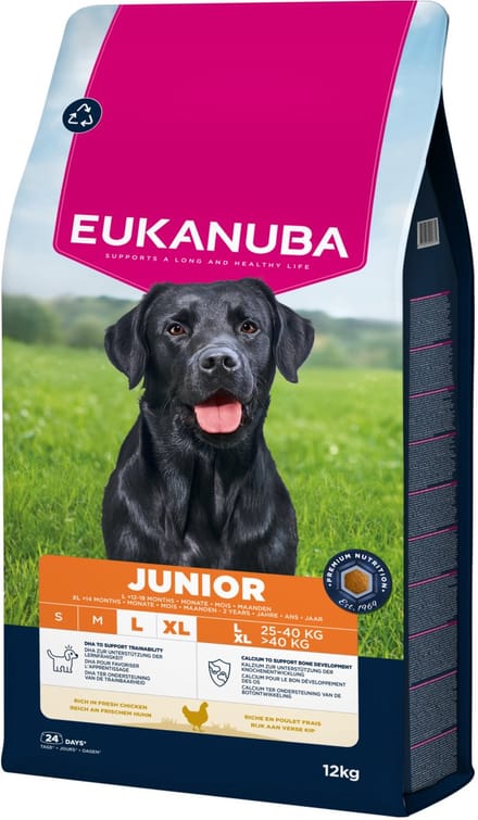 Eukanuba Junior Large Breed Kip - Hondenbrokken - 12 kg