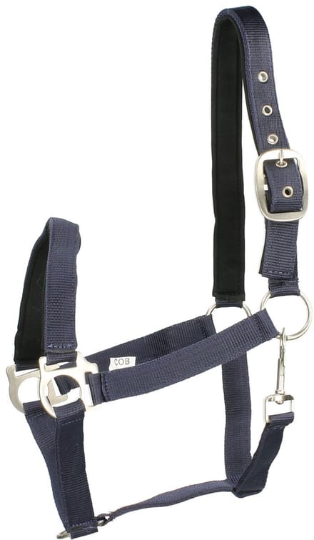 Epplejeck Halster Epplejeck Esprit Donkerblauw-zwart