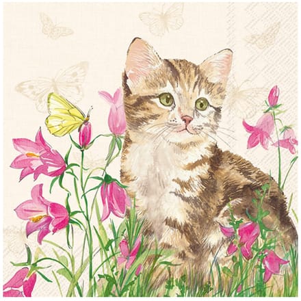 Servet "Minka de kat"