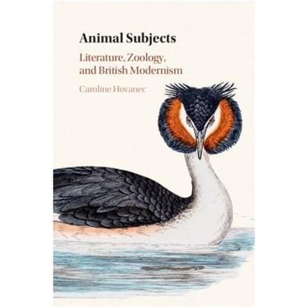 Animal Subjects - Caroline Hovanec