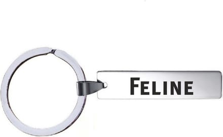 Sleutelhanger Met Naam - Feline - RVS