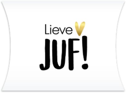 Gondeldoosje Lieve JUF - Einde Schooljaar - Verjaardag - Bedankt - Juffendag