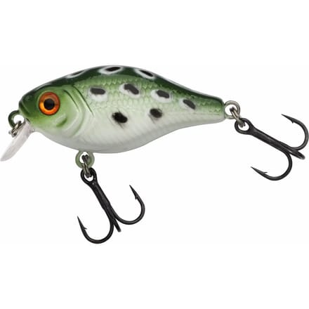 Lok Berkley Pulse Fry shallow