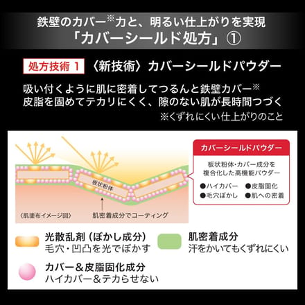 Kanebo - Kate Cover Shield Powder Foundation Case 1 pc