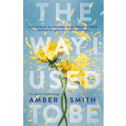 The Way I Used To Be - Amber Smith