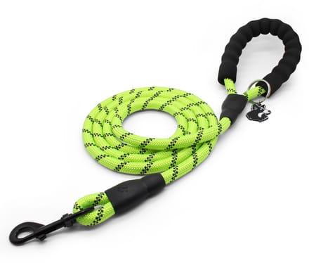 Dougi - Hondenriem 2 m - Reflecterend - Met Poepzak-Sleutelhanger & Gratis E-boek - Groen