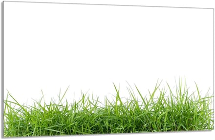 TMK ArtDeko - Glazen Beschermplaat - 80x52 cm - Geharde Glas - Wit