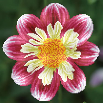 DD5.040 Diamond Dotz® - 30,5x30,5cm Daisy-A-Day (#DD1904)