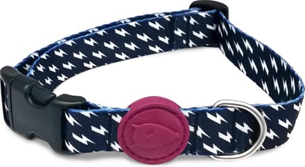 Morso - Halsband Hond Gerecycled Power Flow Zwart