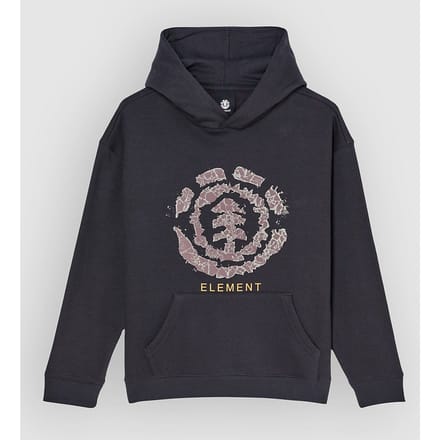 Element Rockys Hoodie Zwart 16 Years Jongen