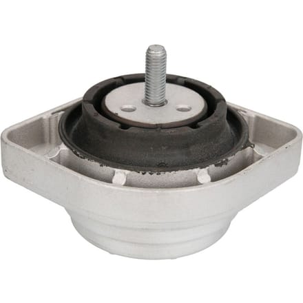Motorsteun REINHOCH RH11-3062 links