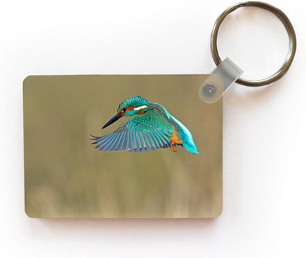 Sleutelhanger - IJsvogel - Lucht - Kleurrijk - Uitdeelcadeautjes - Plastic