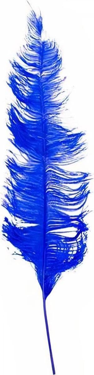 Witbaard Struisveer 50-60 Cm Blauw