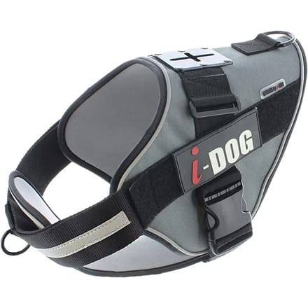 Hondentuig I-DOG NeoCAM
