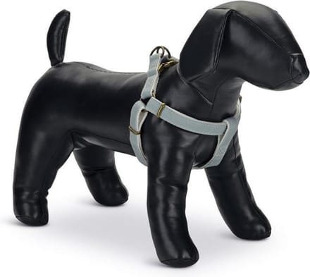 Designed by Lotte Virante - Hondentuig - Mint - 46-75 cm