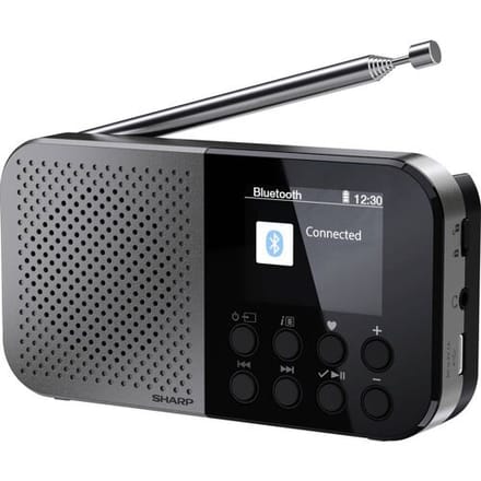 Sharp DR-P520 (GY) Outdoorradio FM, DAB Bluetooth Acculaadfunctie, Voelbare toetsen Zwart
