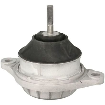Motorsteun REINHOCH RH11-0183