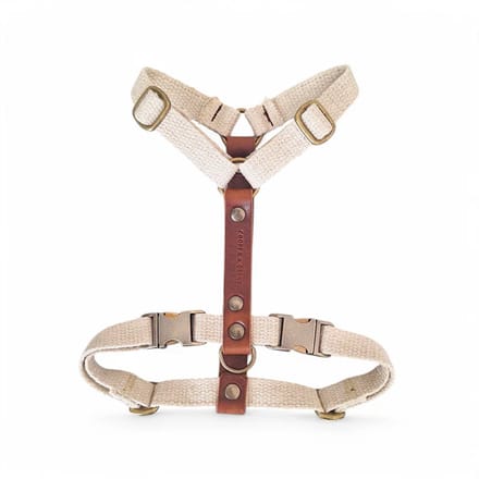 Cooper & Quint Adventure Hondentuig - Zwart - Extra Small - Oud Messing