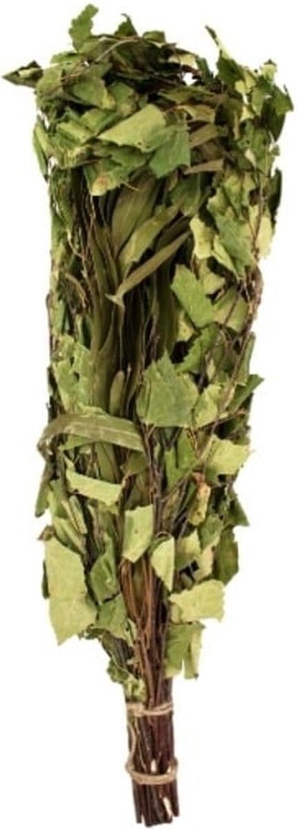 Emendo Berken - Eucalyptus takken