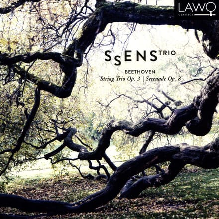String Trio Op.3/Serenade Op.8 - David Zinman